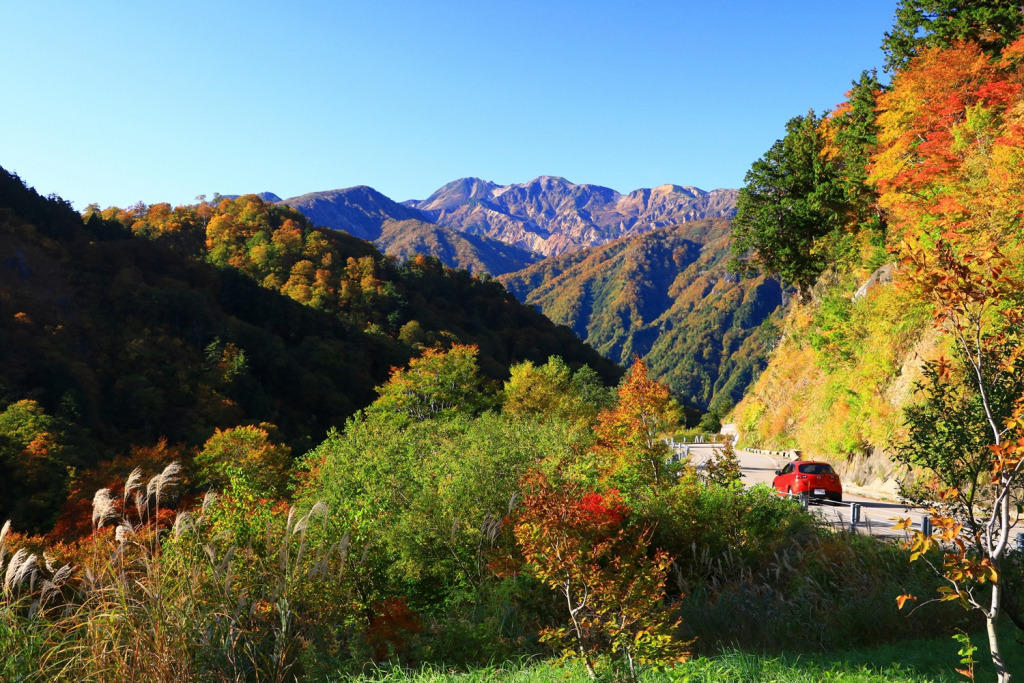 白山白川郷ホワイトロード